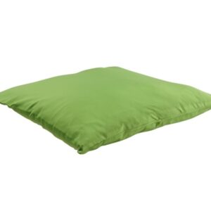 Kussen lichtgroen 50x50cm